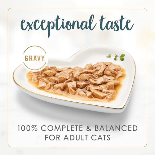Purina Fancy Feast Gravy Lovers Turkey Feast Grilled Gourmet Cat Food in Wet Cat Food Gravy - (Pack of 24) 3 oz. Cans