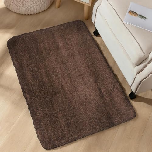 Image of Modern Polyester Anti Slip Shaggy Fluffy Rugs and Carpet for Bedroom, Hall,Kids Room, Guest Room etc. (Coffee, 2x3 feet)