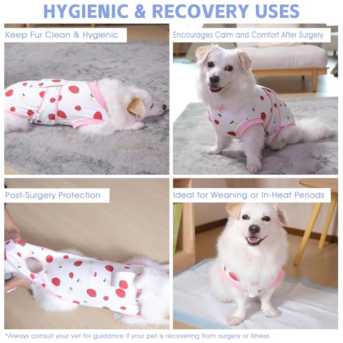 Image of PET Glam Recovery Suit for Dogs Cats, After Surgery, Alternative E-Collar Dog CAT. PET Shirt Breathable Abdominal Wounds, Neuter Cotton, Prevent Licking Onesie Surgical (RED, XS)