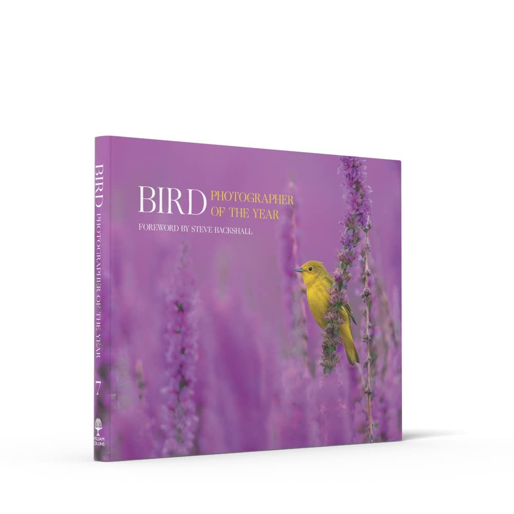 Bird Photographer of the Year