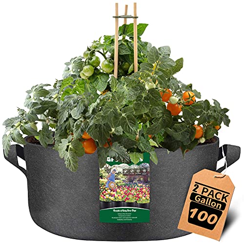 2-Pack 100 Gallon Grow Bags, Double Layer Premium Breathable Nonwoven Fabric Plants Pots with Handles for Trees Vegetables Fruit Flowers - Indoor Outdoor (Black)