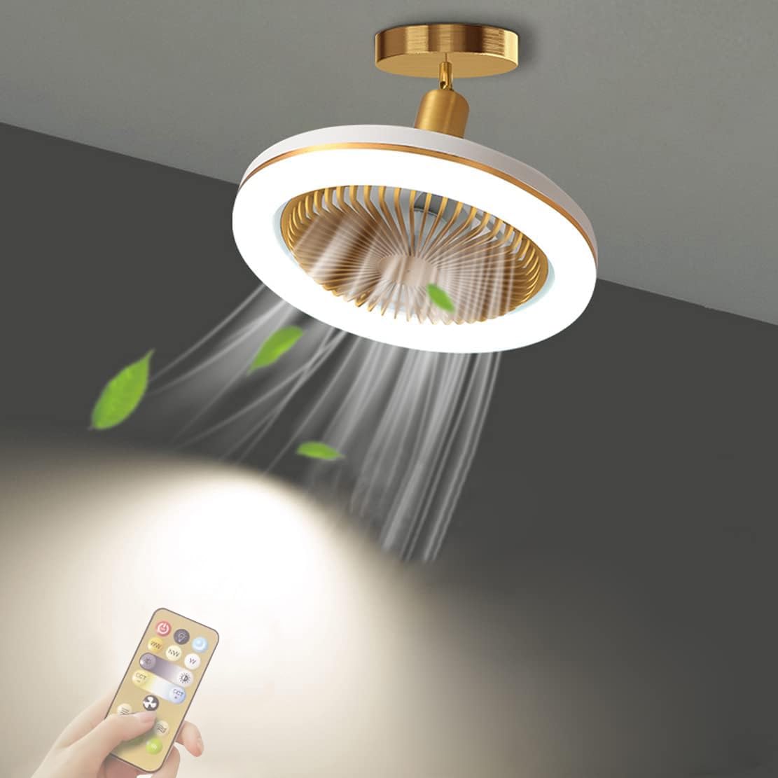 Ventilador Techo con Luz y Mando a Distancia, E27 Pequeño Lampara Ventilador Techo, Silencioso, 30W 3000 lm, Regulable, 3 Velocidades, Ángulo Ajustable, para Dormitorio pequeña,Cocina, Baño