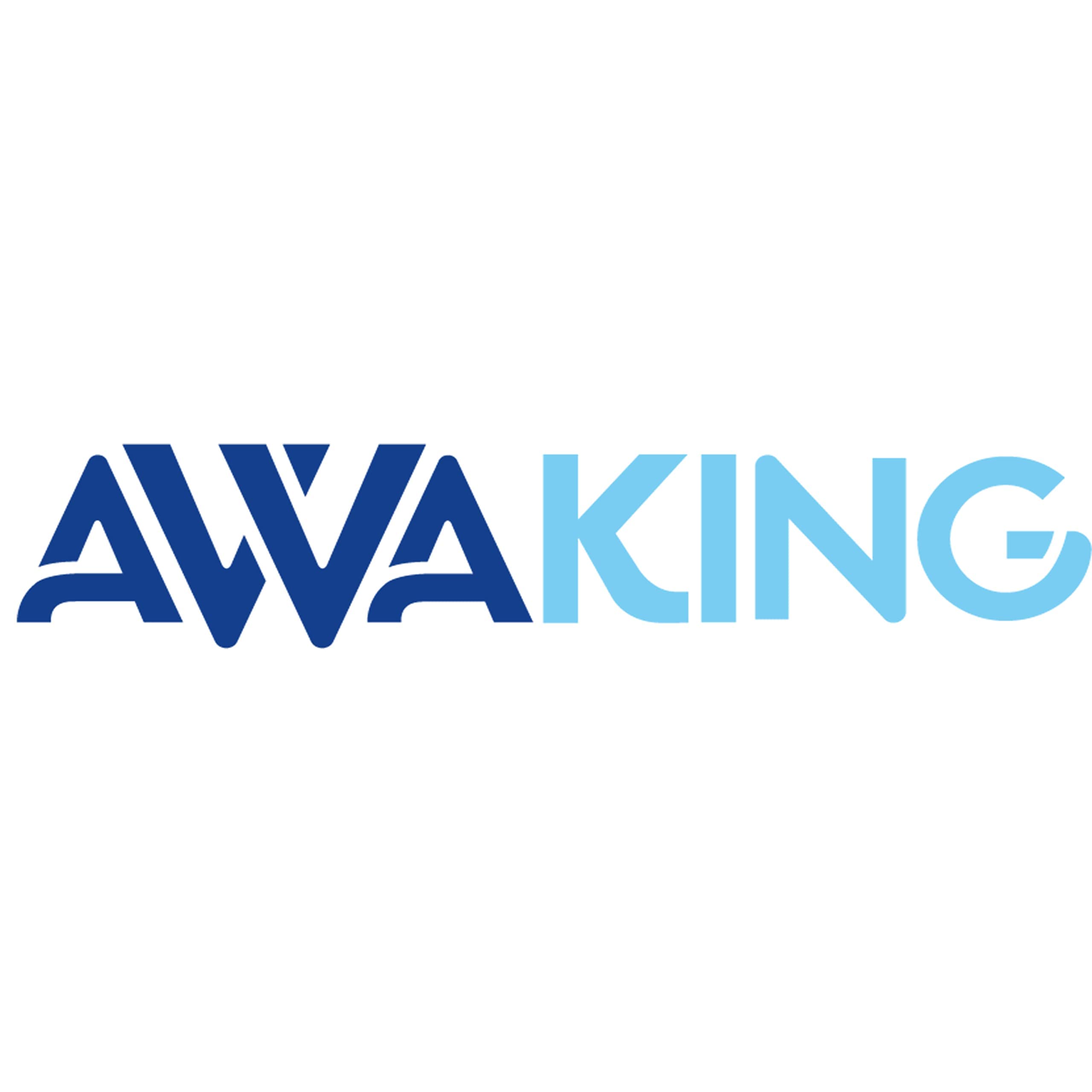PLANTAWA Thetford Aqua KEM Blue Sachets + Rinse Awaking 2l,Líquido WC Químico,Liquido WC Potti, Aditivo Aguas Negras Caravana, Liquido Taza WC,Depósitos Autocaravanas,Concentrado,Aromatizante