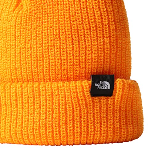 Image of The North Face Cryptic Everyday Laptop Backpack