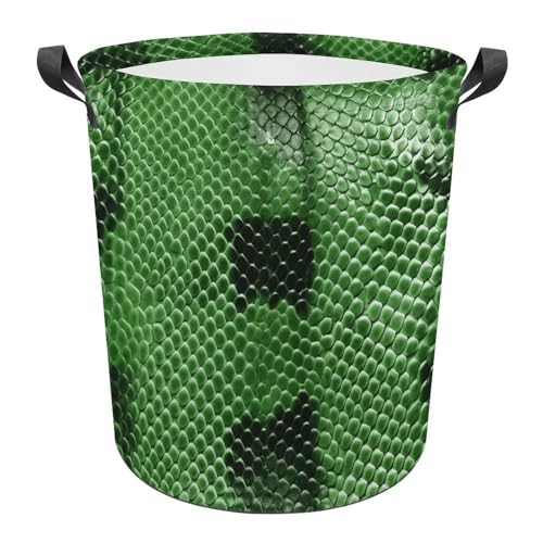 Panier à linge pliable vert serpent pour stopper l'humidité - 2