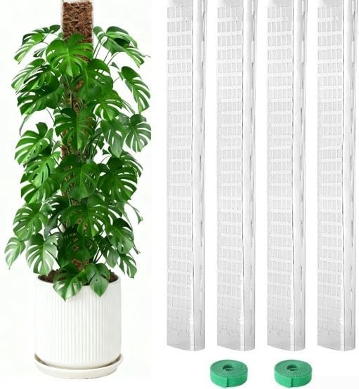 24 Inch D Shaped Plastic Pole for Moss Wrapping and Supporting For Climbing Plants in Pots and Containers (4PCs)