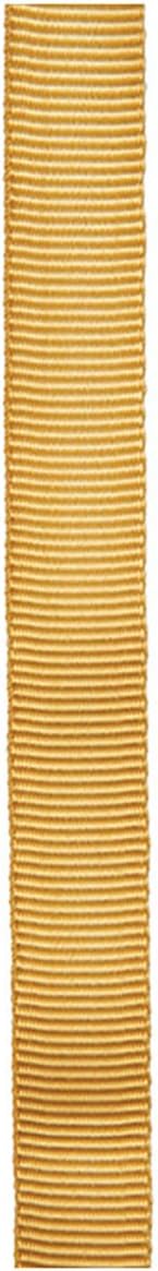 Cypher 1 inch x 300' Tube Web (Yellow)