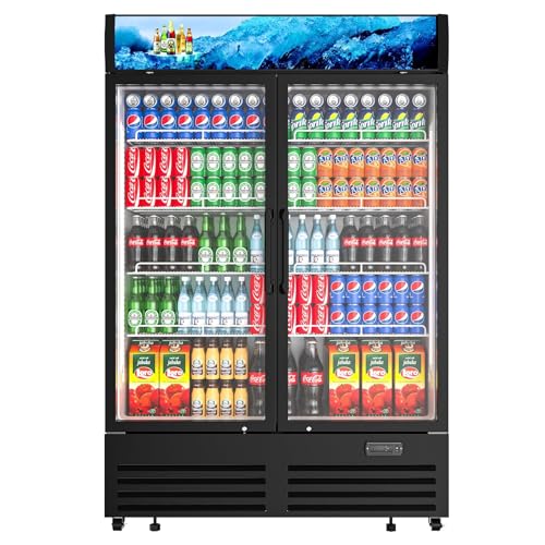 Rockitch Commercial Beverage Refrigerator 2 Glass Door, 36