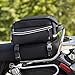 Amazon Basics Motorcycle Tail Bag