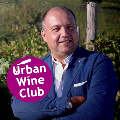 Chianti Classico and Beyond with Alessandro Cellai from Vallepicciola cover art