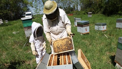 Photo complémentaire