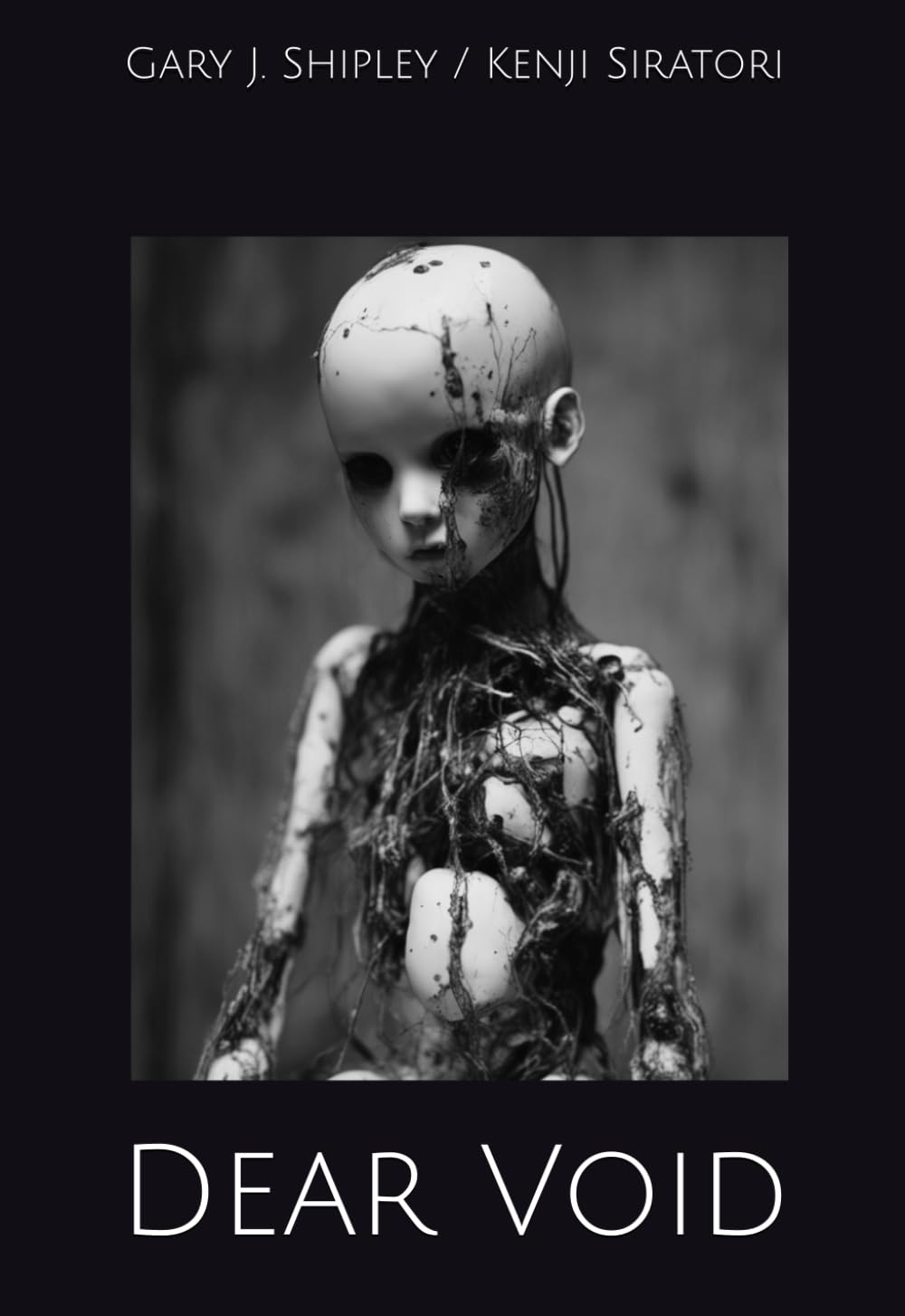 Dear Void