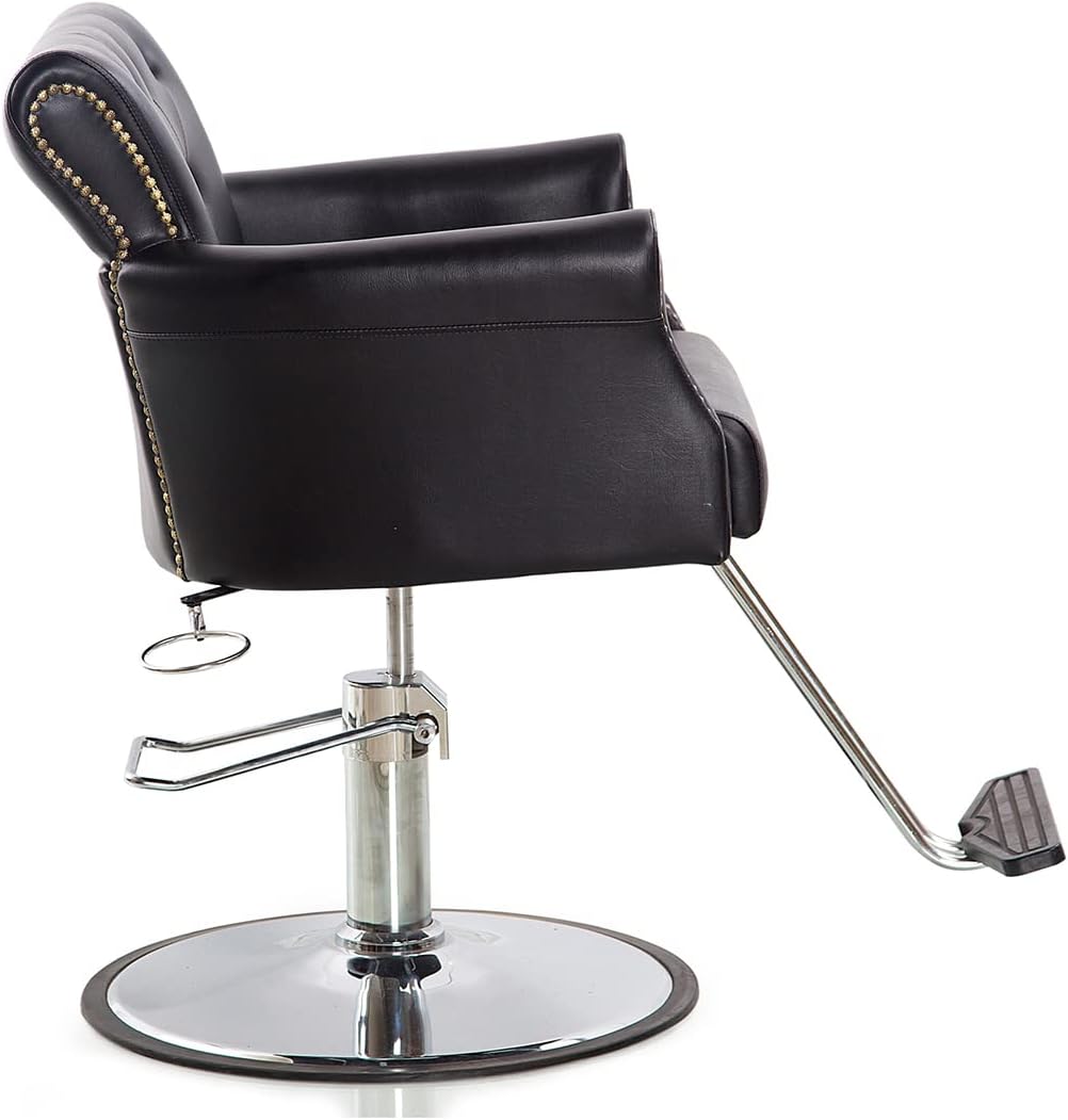Beautynao Salon Chair Barber Chair Styling Beauty Chair Cutting Chair Salon Professional Home (Black)