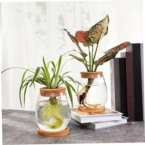 Vases de propagation pour éviter les boutures ratées et décorer - 6