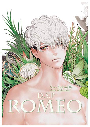 Dragostarplayer Romeo 5 わたなべあじあ ファンタジー Kindleストア Amazon
