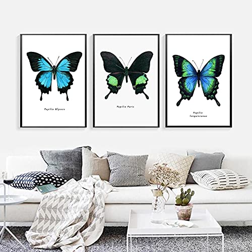 Affiche ailes de papillon scandinave 50x70 cm pour décoration de salon nordique chic
