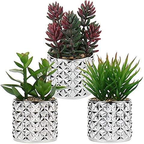 Juego de 3 plantas artificiales suculentas en maceta de cristal plateada Cover