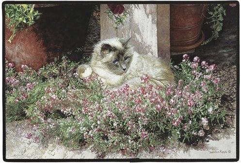 Fiddler's Elbow Sweet Alyssum Cat Doormat Sueellen Ross