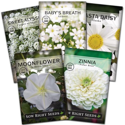 Sow Right Seeds - Moon Garden White Flower Seeds for Planting - Shasta Daisy, Alyssum, Polar Bear Zinnia, Baby’s Breath & Moonflower - Non-GMO Variety to Plant a Stunning Evening Moon Flower Garden