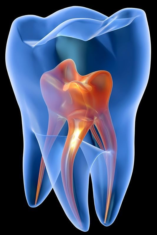 British Terminal® Dental Dentist Doctor Teeth Dashing Design Wall Decor Poster For clinic Decor (vinyl,multicolor,sticker) (24 x 18 inch)