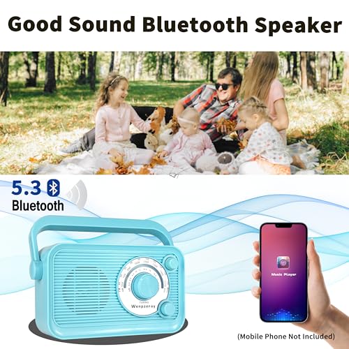Radio portátil de bolsillo AM FM SW Y-706 miniatura 5