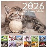 2026 Wall Calendar - 2026 Cute Kittens Calendar from January 2026 to December 2026, Calendar 2026 uk, 21.59 x 28 cm (A4 size), 12 Monthly Wall Calendar 2026, Lovely Cats