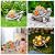 YDKOJGW Solar Garden Outdoor Statues with Succulent and 7 LED Lights - Lawn Decor Tortoise Statue for Patio, Balcony, Yard Ornament - Unique Housewarming Gifts (Gray Turtle)