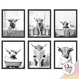 97 Decor Cow Pictures Wall Decor - Funny Bathroom Wall Art Prints, Black And White Highland Cow Bathroom Decorations, Funny Animal Bull in Bathtub Pictures for Bedroom (8x10 Unframed)