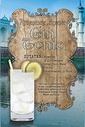 Deko 7 Cocktail Gin Tonic - Cartel de Chapa (30 x 20 cm)