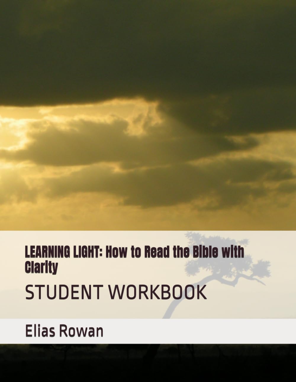 LEARNING LIGHT: How to Read the Bible with Clarity: STUDENT WORKBOOK (Learning Light: Christian Study Series)