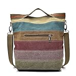 ROUROU Hobo Tote for Women - Top Handle Shoulder Crossbody Bag, Multi Color Canvas, Large Capacity, Casual Purse