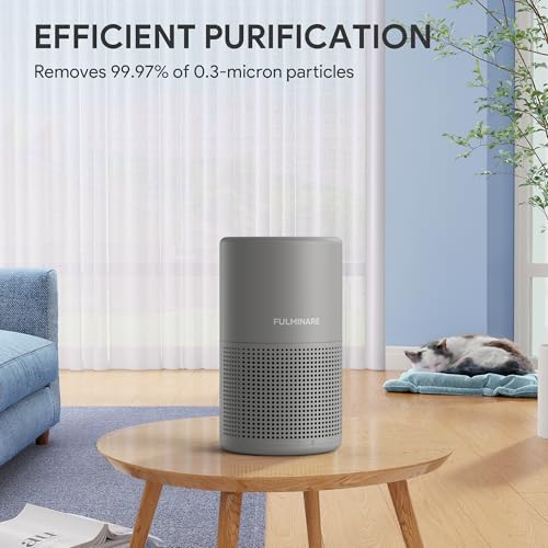 Image of FULMINARE Air Purifiers for Bedroom H13 True HEPA Air Filter, Quiet Air Cleaner With Night Light, Portable Small Air Purifier for Home, Office, Living Room (Gray)
