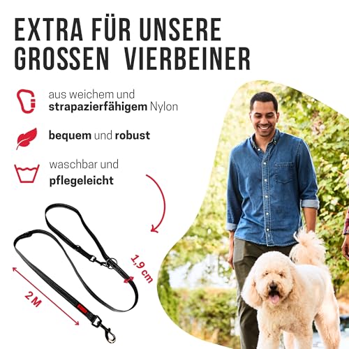 KONG robuste Hundeleine aus Nylon I grau I dreifach verstellbare Leine Hund I hochwertige Hundeführleine mit reflektierenden Elementen I Führleine Hund I Länge: 2 m I Breite: 19 mm