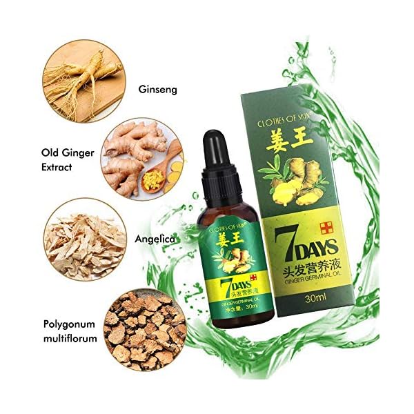 Ginger-Germinal-Oil-Ginger-Hair-Growth-Serum-Ginger-Essential-Oil-Stop-Hair-Loss-Hair-Thinning-Treatment-Hair-Growth-Oil-for-Women-Men-30ML-3-Pack Ginger Germinal Oil, Ginger Hair Growth Serum, Ginger Essential Oil Stop Hair Loss Hair, Thinning Treatment Hair Growth…
