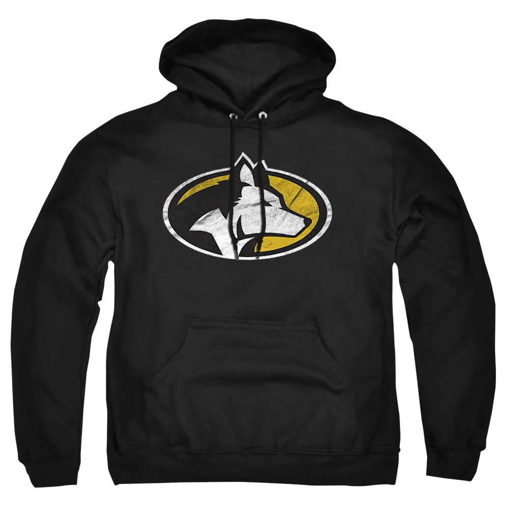 LOGOVISION Official Collegiate Distressed Primary Logo Adult Pullover Hoodie Collection — view 376