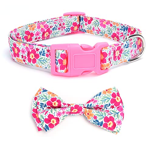 Bbmmayy \tgŉKȌ̎ցA{tAO\Œ߉\ȒlN^C̋݁AvŃX^CbVȃybg̎ ̎q    ^ (LAsN)