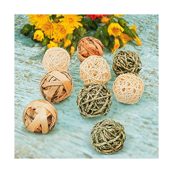 Episkey 9 Stück Kaninchen-Spielzeug, Kaninchen-Leckerlis, Meerschweinchen, Spielzeug für kleine Haustiere, Kaubälle, Grasbälle, natürliches Spielzeug für Kaninchen, Rennmäuse und Hamster (7,8 cm) – Bild 6