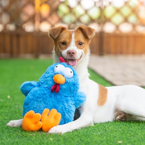 Image of Best Pet Supplies Interactive Squeaky Dog Chew Toy, Ideal Dog Toys for Chewers, Small, Medium & Large Dogs, and Fetch Lovers - Mrs. Cluck (Blue), Large