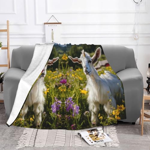 Couverture en peluche douce et légère imprimé chèvre - 4