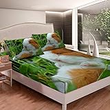 Erosebridal Kid Guinea Pig Fitted Sheet Cute Guinea Pig Sheet Set Rodent Breeds Bottom Sheet Animal...