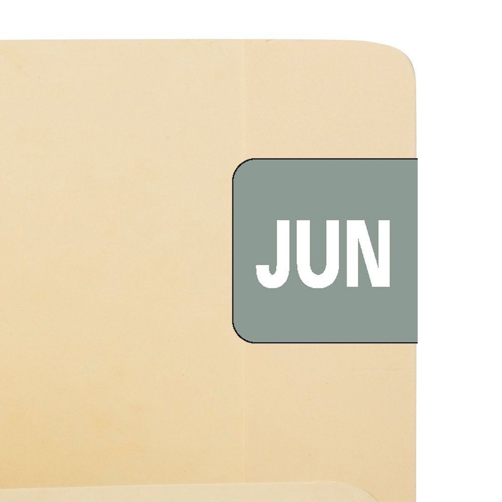 Smead ETS, etichetta mensile codificata a colori, giugno, grigio, 250 etichette per confezione (67456)