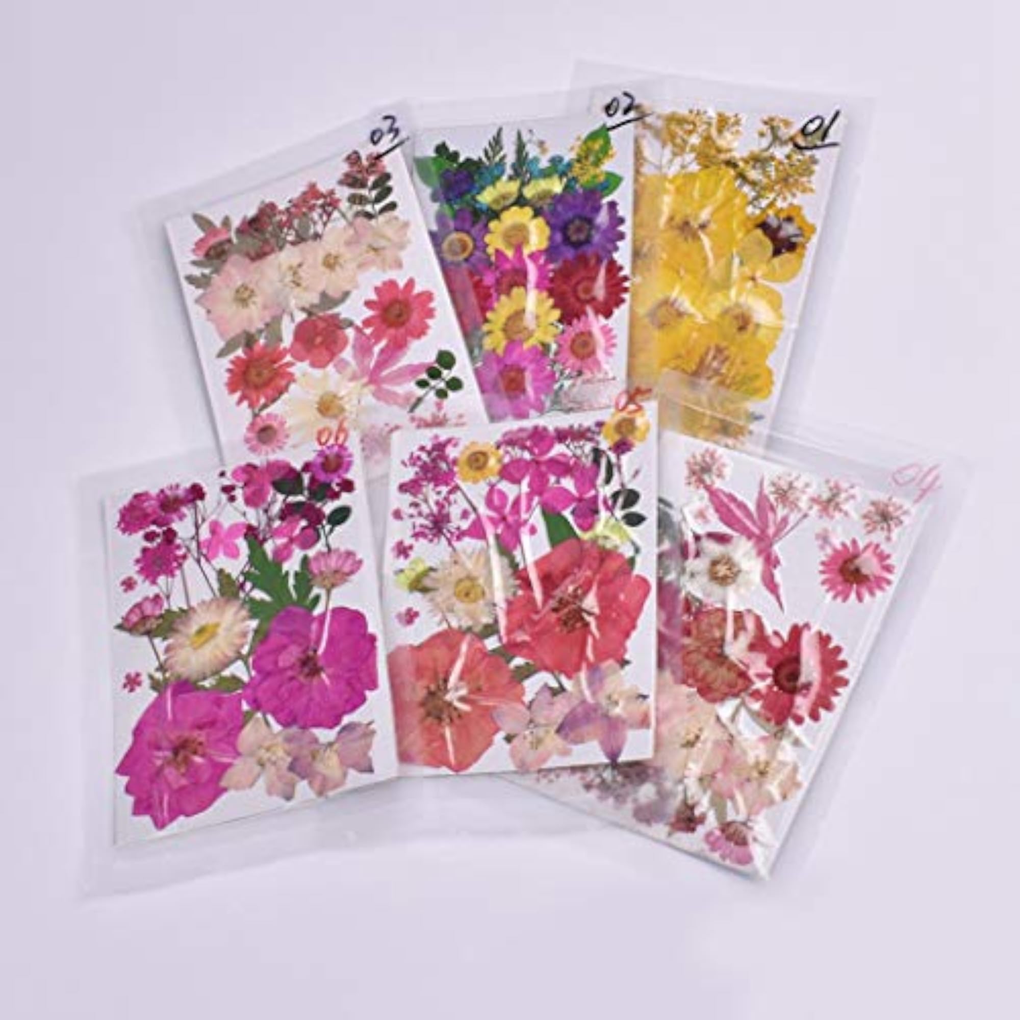 Dried Pressed Flowers Assorted Craft Supplies