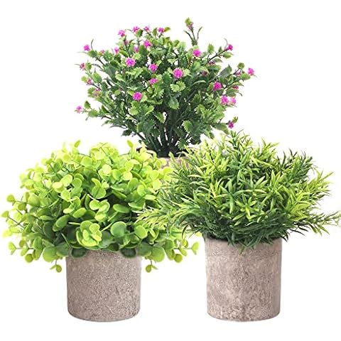 Artificial Plants 3 Preserved Mini Fake Plants in Pots Small Indoor Plants for Indoor Office Table Decoration Cover