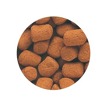 Amazon | Tetra テトラ レプトミンスーパー中粒 160g 亀 カメ