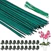 Hysagtek 50pcs Plant Support Sticks 40cm Garden Sticks for Plants Bamboo Flower Sticks Split Garden Plant Canes Sticks Wood Plant Stake with 50pcs Garden Ties & 20pcs Plant Clips