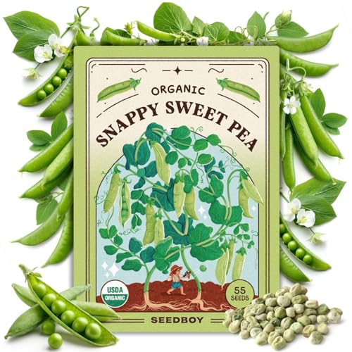 Seedboy Organic Sugar Snap Pea Seeds for Planting Indoor and Outdoor, Non-GMO and USDA Certified Vegetable Seed Packet for Hydroponic Garden Indoor or Planting Outdoors (Sugar Snap Peas)