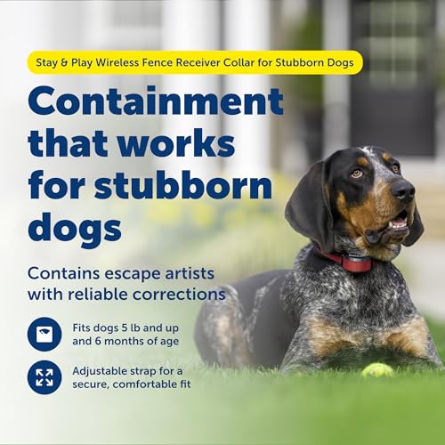 PetSafe Stay & Play Wireless Fence Receive Collar for Stubborn Dogs - Rechargeable & Waterproof Receiver Collar with Quick Charge in 2-3 Hours - for Dogs 5lb+ - Image 3