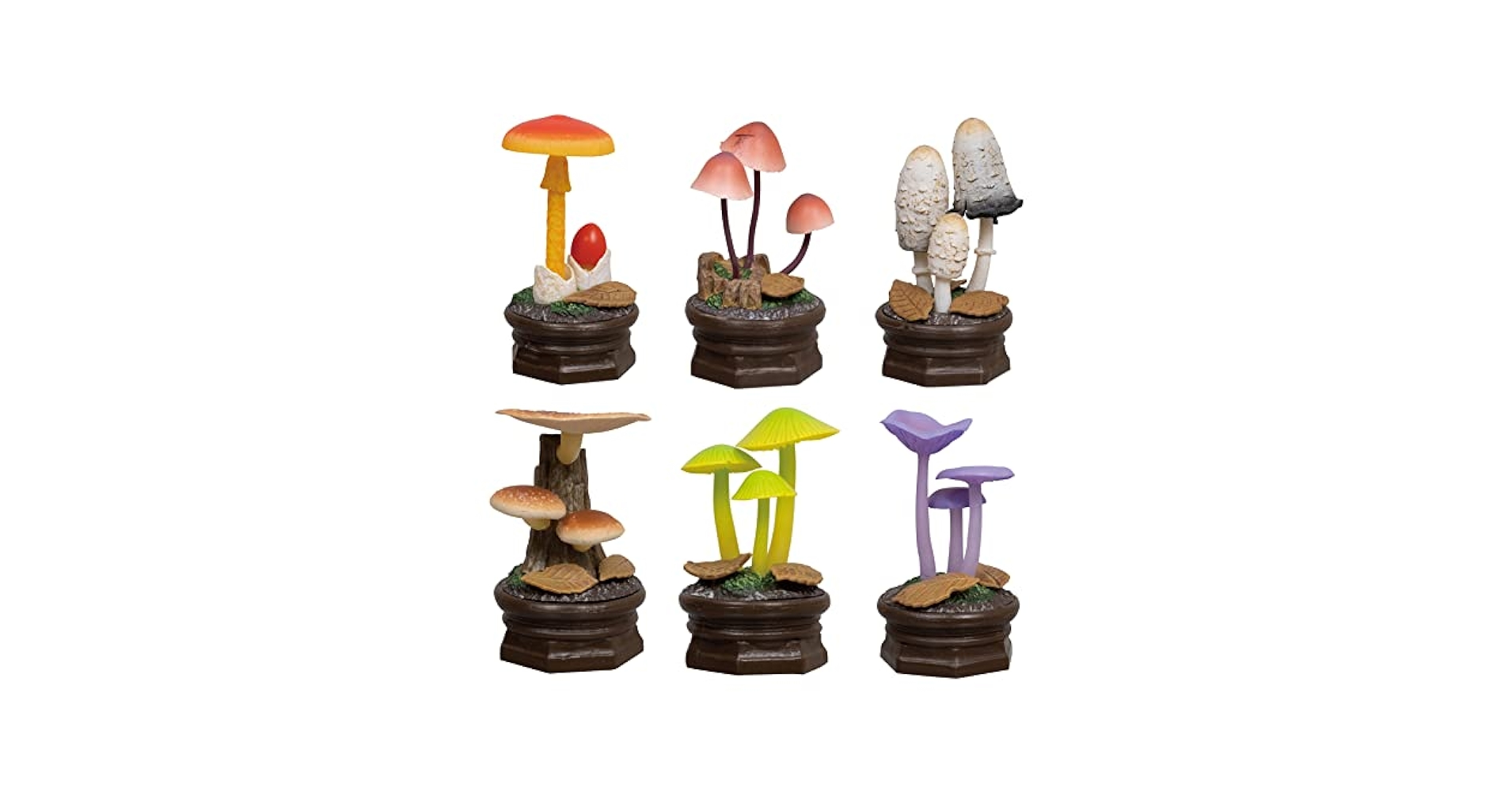 羅本製所 Copiapoa Mudball blind box 3個セット Copiapoa Mudball Blind Box Series by Robin Huang