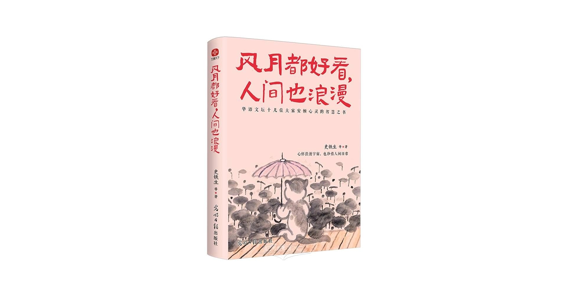 Amazon.com: Romantic World (Simplified Chinese Edition