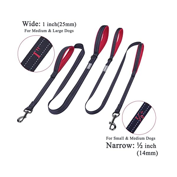 VIVAGLORY Dog Training Leash with 2 Padded Handles, Heavy Duty 6ft Long Reflective Safety Leash Walking Lead for Medium to Large Dogs, Black VIVAGLORY Dog Training Leash with 2 Padded Handles, Heavy Duty 6ft Long Reflective Safety Leash Walking Lead for Medium to Large Dogs, Black